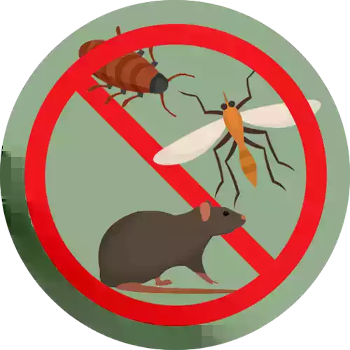 Programma di sanificazione (disinfestazione e derattizzazione) 1° ciclo del 2026 della rete di fognatura nera